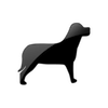 Captcha image 2125